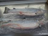 ASC, MSC frozen fish products from the cold store in Lithuania. - фото 15