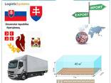 Автотранспортні вантажні перевезення з Крагуєваця в Крагуєваць разом з Logistic Systems - фото 6