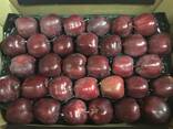 Best apples from Poland wholesale - фото 3