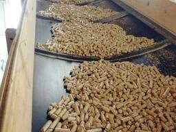 Premium cheap wood particles pellettatrice enplus a1 biomass wood pellet 15kg bags