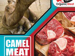 Camel Meat - фото 1