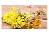 Cheap Wholesale Top Quality Refined Rapeseed Oil / Canola Oil / Crude rapeseed oil In Bulk - фото 5