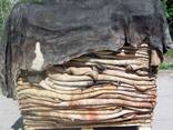 Donkey hides - фото 1