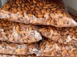 Dried Almond Nuts - фото 2