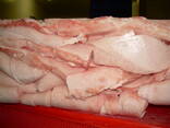 Frozen pork back fat - фото 1