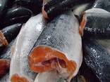 Frozen Seafood Sale / Salmon From Norway - 100% Export Quality Salmon Fish