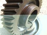 Gearwheel, gear, staft gear, toothed crown, gear box - photo 5