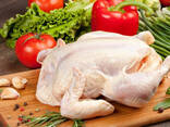 Halal Frozen Chicken, Thigh, Back quarter, Wings , Fillet IPBF , IQF, BF. Ukraine - фото 3