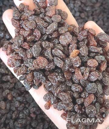 Изюм коричневы (Офтоби) сушеный на солнце без обработки экологический чисты.