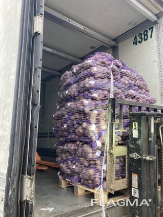 Картофель 6