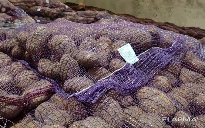 Картофель, капуста, лук, морковь