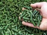 Люцерна гранулированная - фото 2