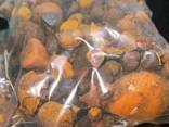 Natural Cattle/Ox Gallstones - фото 3