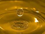 Продам масло рафинированное и не рафинированное - фото 1