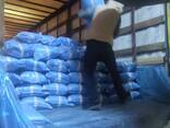Direct deliveries of BEANS from KYRGYZSTAN. - фото 3