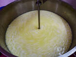 Сир млечни 200 литара