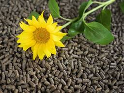 Sunflower husk pellets (sunflower fuel pellets)