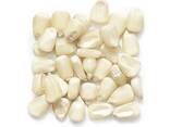 Top Selling Non GMO Yellow Maize Corn/ Yellow Corn White Corn/Air Dried Yellow Maize Corn - фото 5