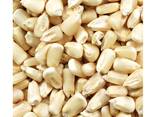 Top Selling Non GMO Yellow Maize Corn/ Yellow Corn White Corn/Air Dried Yellow Maize Corn - фото 8