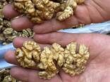 Walnut kernels, walnut shell wholesale. - фото 1