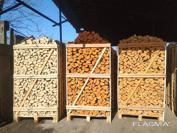 Hot sales price Oak Firewood / Birch Firewood / Spruce Firewood Italian grade