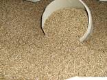 Wood Pellets for Heating ENplus A1 - фото 5