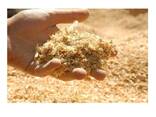 Wood Shaving/wood shavings for poultry bedding/ Pine Wood Sawdust - photo 2
