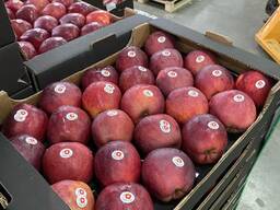 Яблоки Ред Делишес